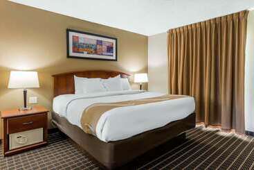 酒店 Quality Inn & Suites Sevierville  Pigeon Forge