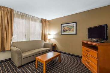 酒店 Quality Inn & Suites Sevierville Pigeon Forge
