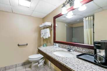 酒店 Quality Inn & Suites Sevierville  Pigeon Forge
