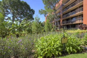 هتل Rosen Inn Lake Buena Vista