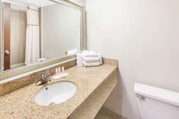 هتل Wingate By Wyndham Detroit Metro Airport