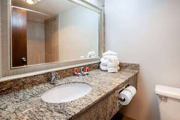 هتل Wingate By Wyndham Detroit Metro Airport