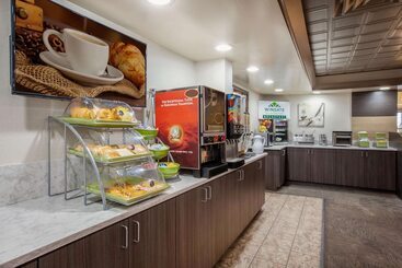 هتل Wingate By Wyndham Detroit Metro Airport