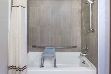 هتل Wingate By Wyndham Detroit Metro Airport