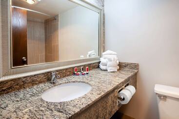 هتل Wingate By Wyndham Detroit Metro Airport