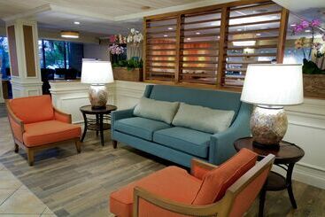 هتل Spark By Hilton Sarasota Siesta Key Gateway