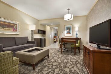 هتل Embassy Suites By Hilton San Antonio Airport