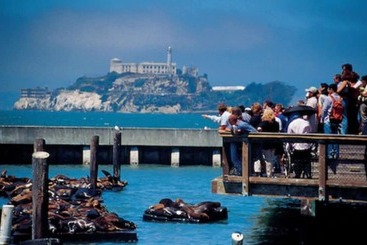 هتل Embassy Suites By Hilton San Francisco Airport Waterfront