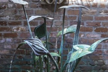 هتل Foley House Inn