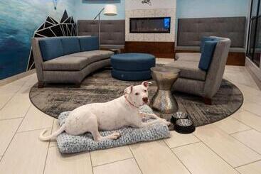 هتل Best Western Plus Wausau Tower Inn