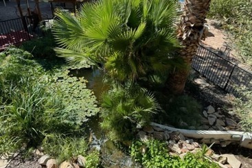 هتل Big Chile Inn & Suites