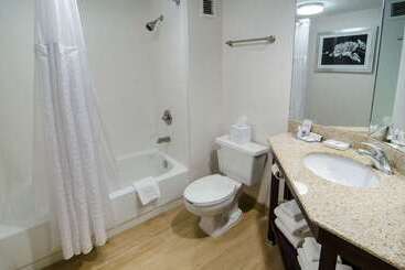 هتل Comfort Inn Raleigh Midtown