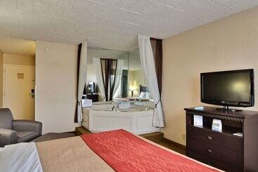 ホテル Comfort Inn