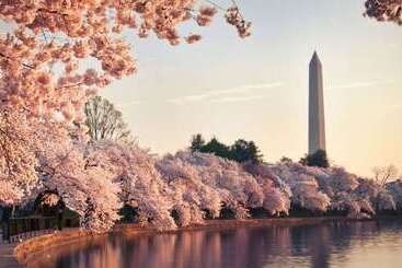 هتل Grand Hyatt Washington