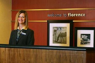 هتل Hampton Inn Cincinnati Airport South