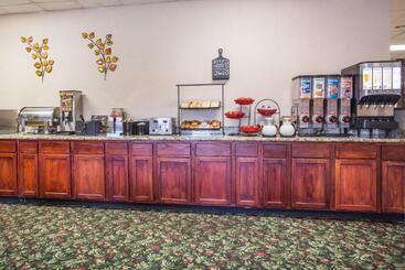 هتل Ramada By Wyndham & Suites Warner Robins