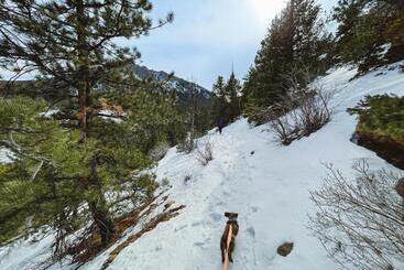 هتل Holiday Inn Estes Park, An Ihg