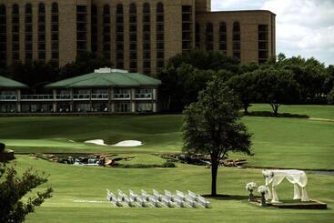 استراحتگاه The Ritz Carlton Dallas, Las Colinas