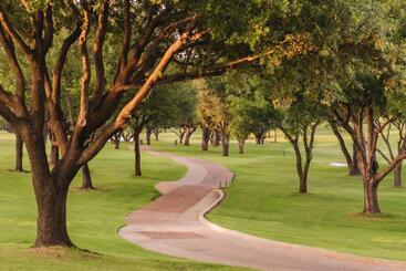 استراحتگاه The Ritz Carlton Dallas, Las Colinas