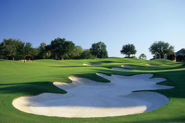 استراحتگاه The Ritz Carlton Dallas, Las Colinas