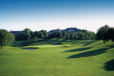 استراحتگاه The Ritz Carlton Dallas, Las Colinas