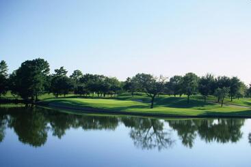 استراحتگاه The Ritz Carlton Dallas, Las Colinas