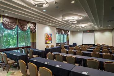 هتل Holiday Inn Austin  Town Lake, An Ihg