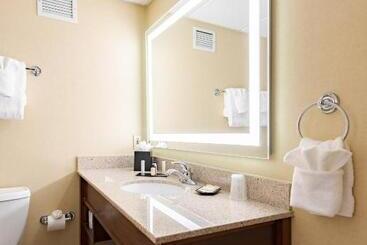Wyndham Omaha Hotel   West Dodge