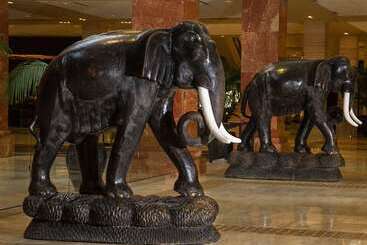 هتل Hilton Anatole