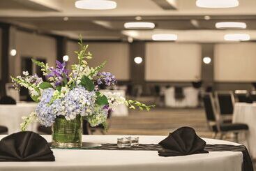 هتل Hilton Knoxville Airport