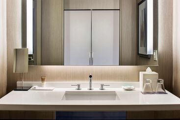 هتل Hyatt Regency Mccormick Place Chicago