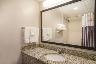 هتل La Quinta Inn By Wyndham And Conference Center San Angelo