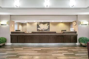 هتل La Quinta By Wyndham Dfw Airport South / Irving