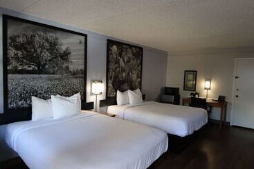 هتل Super 8 By Wyndham Austin South I 35