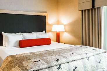 Мотель Cambria Hotel Rapid City Near Mount Rushmore