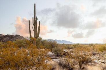 בית מלון כפרי Aloft Tucson University