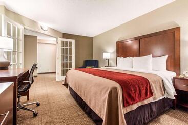 هتل Comfort Inn & Suites Omaha Central