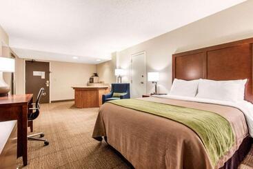 هتل Comfort Inn & Suites Omaha Central