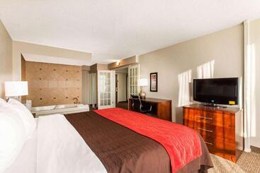 هتل Comfort Inn & Suites Omaha Central