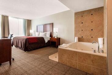 هتل Comfort Inn & Suites Omaha Central