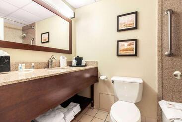 هتل Comfort Inn & Suites Omaha Central