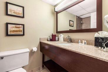 هتل Comfort Inn & Suites Omaha Central