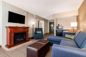 هتل Comfort Inn & Suites Omaha Central