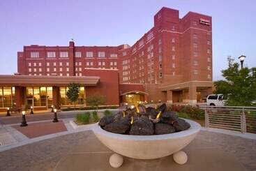 Drury Plaza Hotel Broadview Wichita