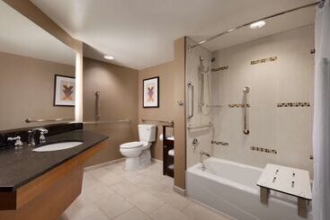 هتل Hilton Arlington