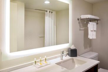 هتل Holiday Inn Newport News   Hampton, An Ihg