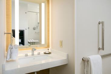 هتل Sheraton Detroit Metro Airport
