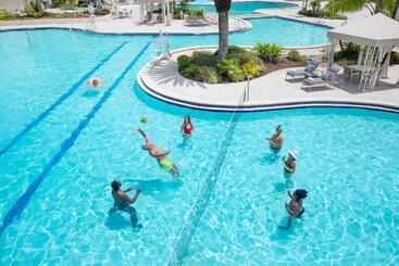 Saddlebrook Golf Resort & Spa Tampa North Wesley Chapel