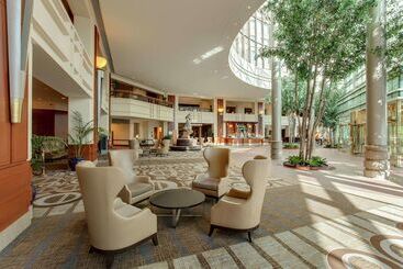 فندق Hilton Boston Logan Airport