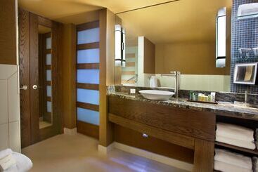 Отель Hilton Palacio Del Rio
